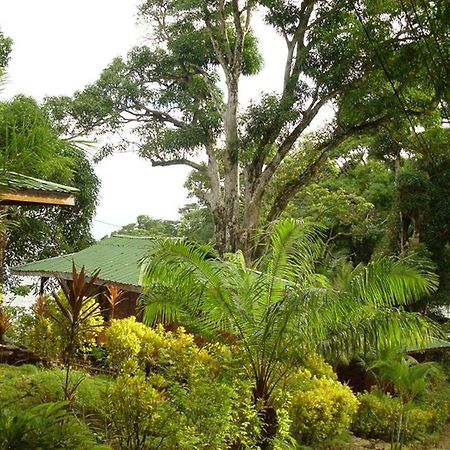 Cabinas La Parcela Villa Dominical Ngoại thất bức ảnh