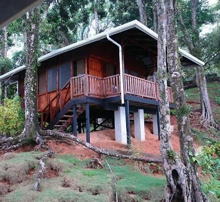 Cabinas La Parcela Villa Dominical Ngoại thất bức ảnh