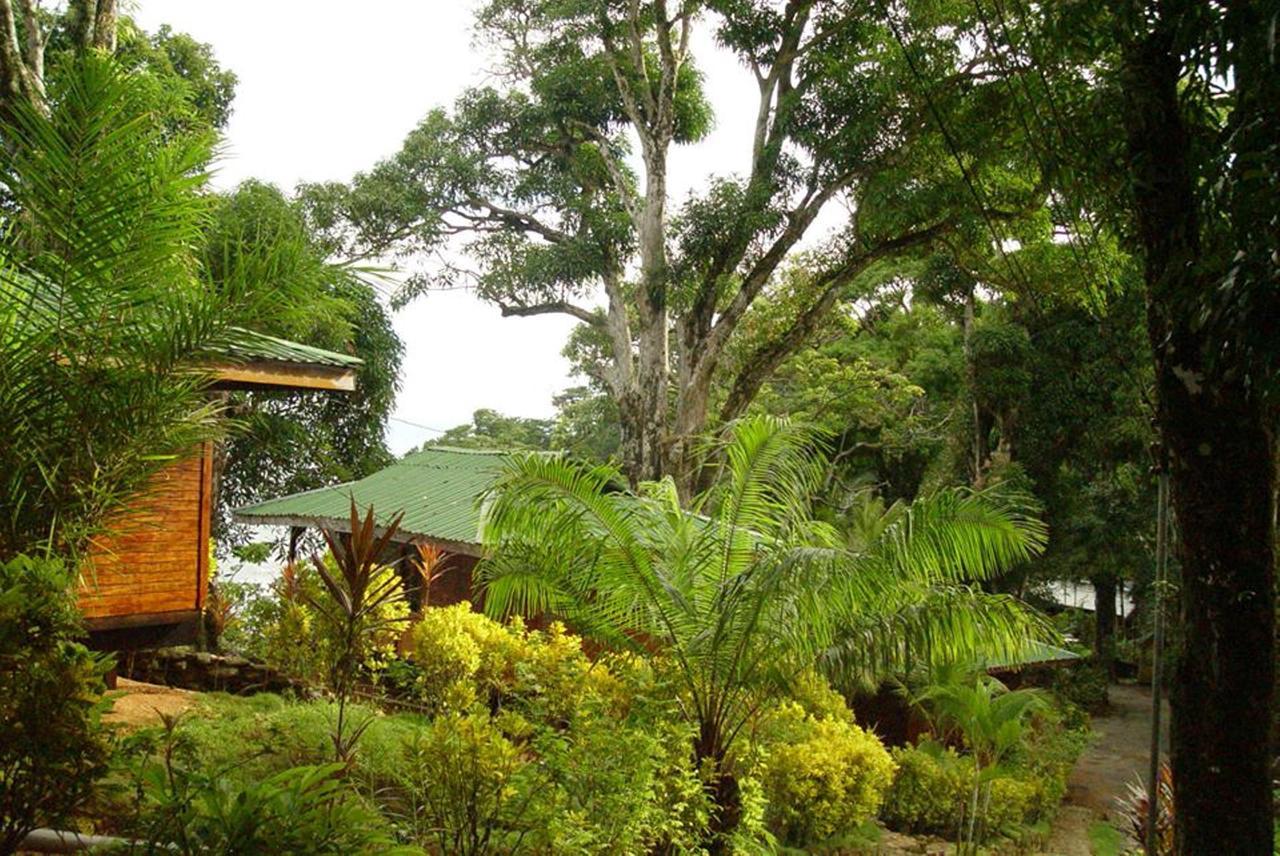 Cabinas La Parcela Villa Dominical Ngoại thất bức ảnh