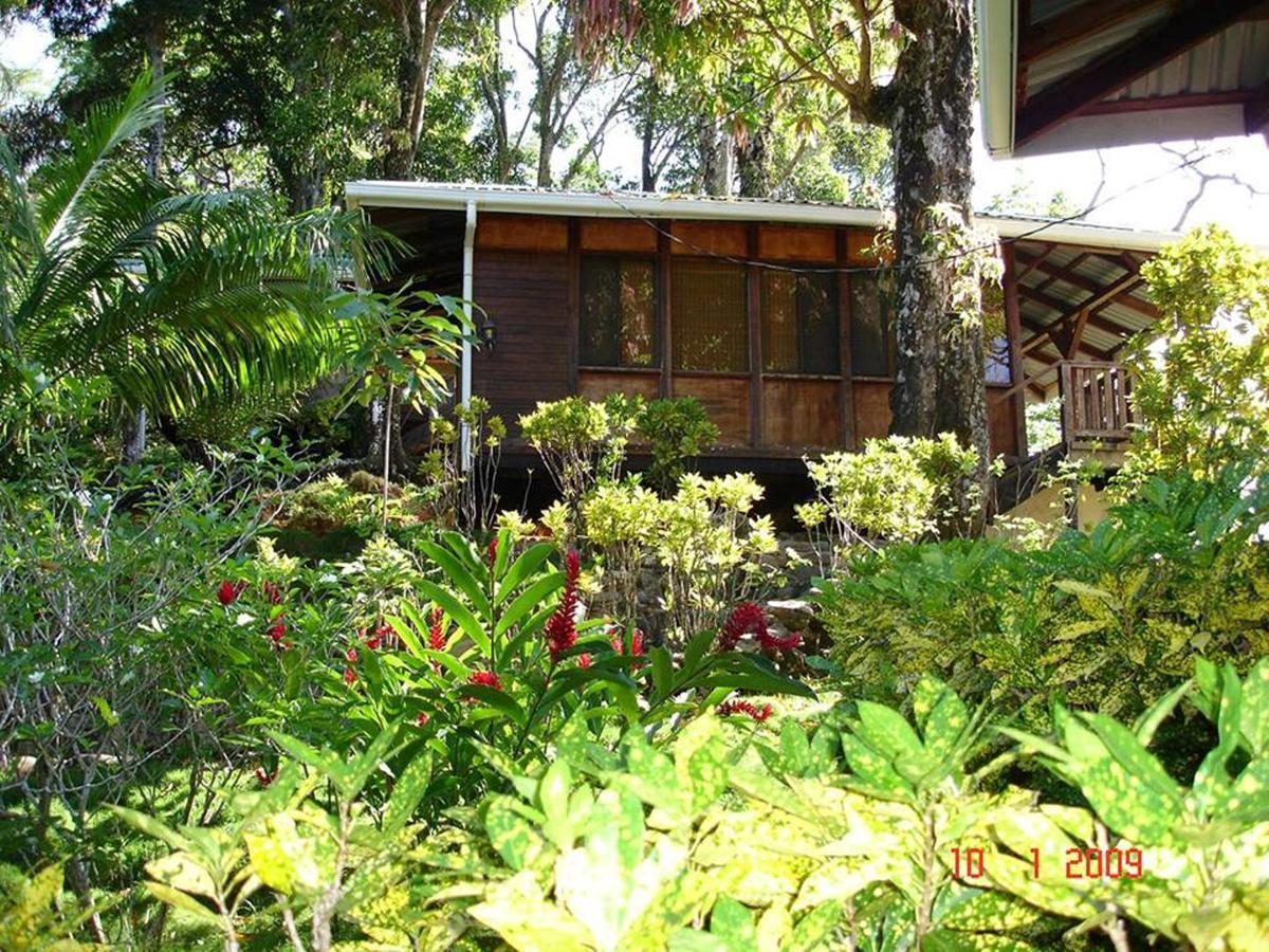 Cabinas La Parcela Villa Dominical Ngoại thất bức ảnh