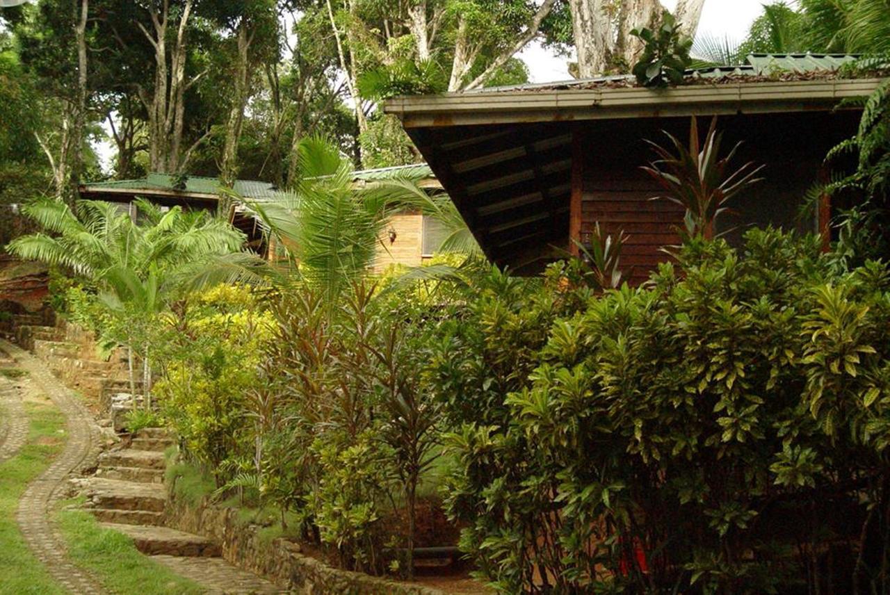 Cabinas La Parcela Villa Dominical Ngoại thất bức ảnh